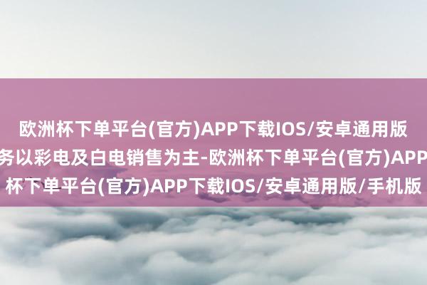 欧洲杯下单平台(官方)APP下载IOS/安卓通用版/手机版其中销耗电子业务以彩电及白电销售为主-欧洲杯下单平台(官方)APP下载IOS/安卓通用版/手机版