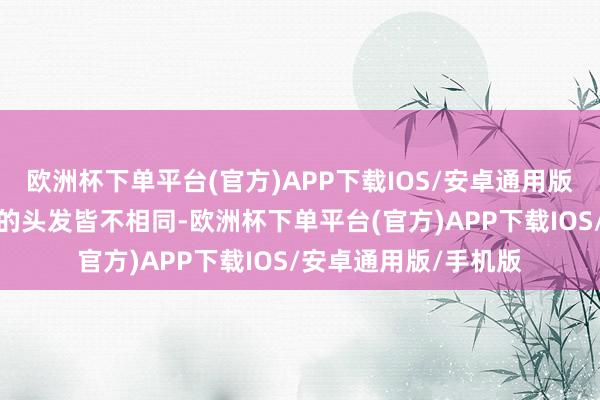欧洲杯下单平台(官方)APP下载IOS/安卓通用版/手机版每个东谈主的头发皆不相同-欧洲杯下单平台(官方)APP下载IOS/安卓通用版/手机版