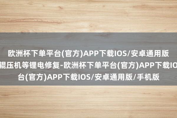 欧洲杯下单平台(官方)APP下载IOS/安卓通用版/手机版纳科诺尔深耕辊压机等锂电修复-欧洲杯下单平台(官方)APP下载IOS/安卓通用版/手机版