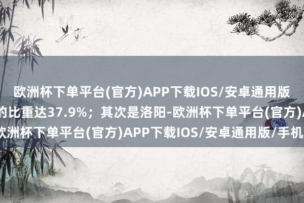 欧洲杯下单平台(官方)APP下载IOS/安卓通用版/手机版占河南总存量的比重达37.9%；其次是洛阳-欧洲杯下单平台(官方)APP下载IOS/安卓通用版/手机版