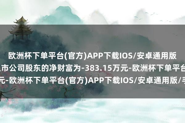 欧洲杯下单平台(官方)APP下载IOS/安卓通用版/手机版公司包摄于上市公司股东的净财富为-383.15万元-欧洲杯下单平台(官方)APP下载IOS/安卓通用版/手机版