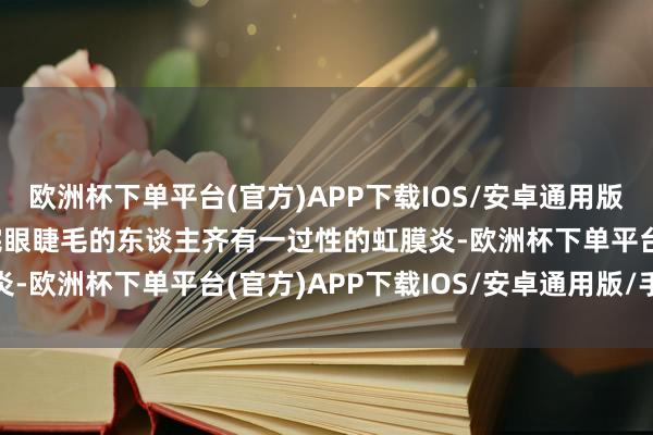 欧洲杯下单平台(官方)APP下载IOS/安卓通用版/手机版基本上90%卸完眼睫毛的东谈主齐有一过性的虹膜炎-欧洲杯下单平台(官方)APP下载IOS/安卓通用版/手机版