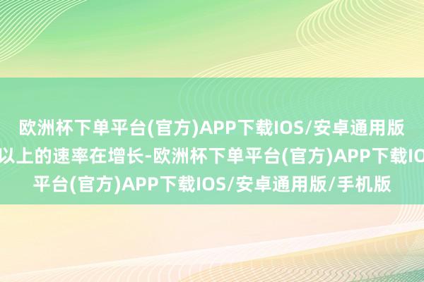 欧洲杯下单平台(官方)APP下载IOS/安卓通用版/手机版且每年以60%以上的速率在增长-欧洲杯下单平台(官方)APP下载IOS/安卓通用版/手机版