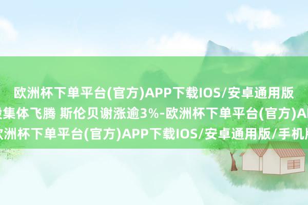 欧洲杯下单平台(官方)APP下载IOS/安卓通用版/手机版好意思股动力股集体飞腾 斯伦贝谢涨逾3%-欧洲杯下单平台(官方)APP下载IOS/安卓通用版/手机版