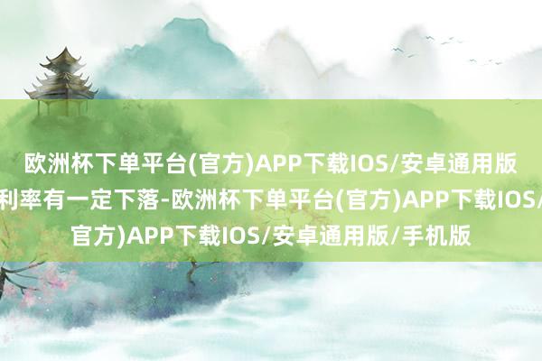 欧洲杯下单平台(官方)APP下载IOS/安卓通用版/手机版公司销售毛利率有一定下落-欧洲杯下单平台(官方)APP下载IOS/安卓通用版/手机版