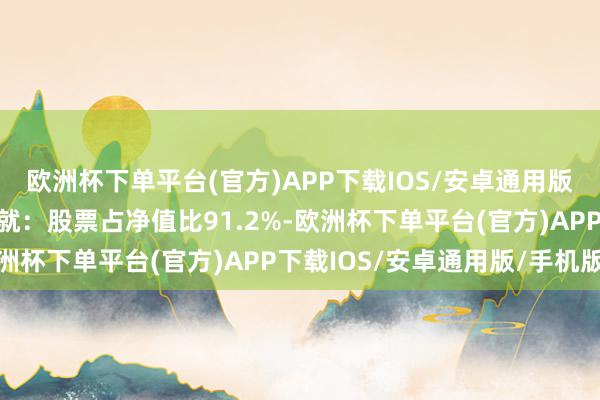 欧洲杯下单平台(官方)APP下载IOS/安卓通用版/手机版该基金钞票成就：股票占净值比91.2%-欧洲杯下单平台(官方)APP下载IOS/安卓通用版/手机版