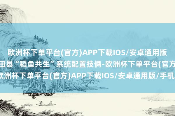 欧洲杯下单平台(官方)APP下载IOS/安卓通用版/手机版浙江省丽水市青田县“稻鱼共生”系统配置技俩-欧洲杯下单平台(官方)APP下载IOS/安卓通用版/手机版