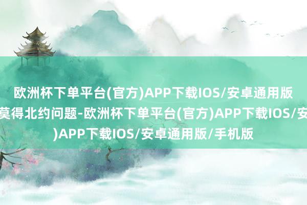 欧洲杯下单平台(官方)APP下载IOS/安卓通用版/手机版该公约中莫得北约问题-欧洲杯下单平台(官方)APP下载IOS/安卓通用版/手机版