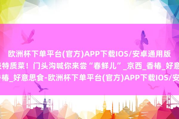 欧洲杯下单平台(官方)APP下载IOS/安卓通用版/手机版2条路子、10多谈特质菜！门头沟喊你来尝“春鲜儿”_京西_香椿_好意思食-欧洲杯下单平台(官方)APP下载IOS/安卓通用版/手机版