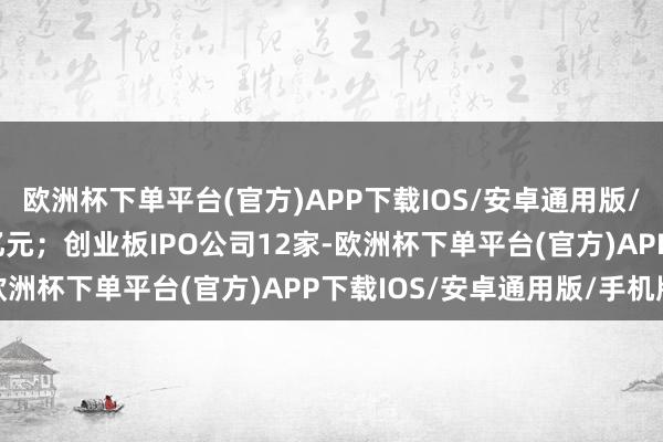 欧洲杯下单平台(官方)APP下载IOS/安卓通用版/手机版募资金额31.8亿元；创业板IPO公司12家-欧洲杯下单平台(官方)APP下载IOS/安卓通用版/手机版
