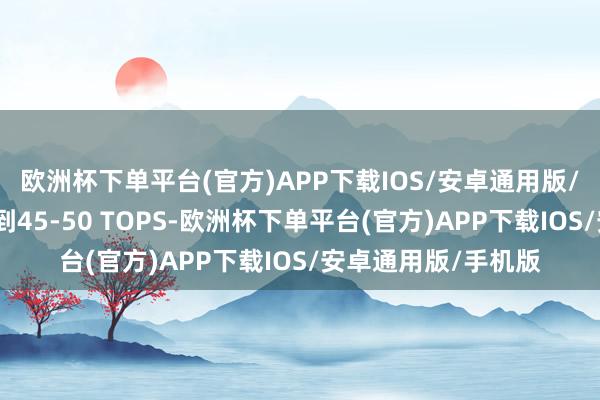 欧洲杯下单平台(官方)APP下载IOS/安卓通用版/手机版运算性能达到45-50 TOPS-欧洲杯下单平台(官方)APP下载IOS/安卓通用版/手机版