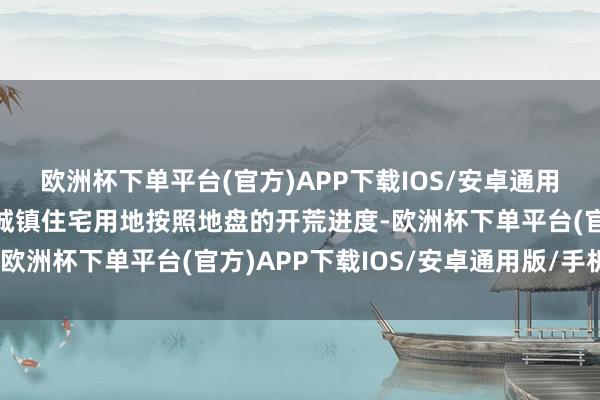 欧洲杯下单平台(官方)APP下载IOS/安卓通用版/手机版合肥市城区城镇住宅用地按照地盘的开荒进度-欧洲杯下单平台(官方)APP下载IOS/安卓通用版/手机版