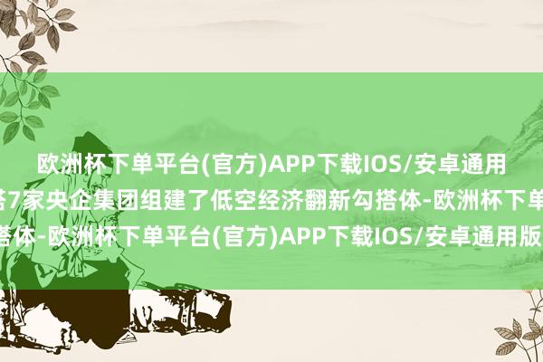 欧洲杯下单平台(官方)APP下载IOS/安卓通用版/手机版中航工业勾搭7家央企集团组建了低空经济翻新勾搭体-欧洲杯下单平台(官方)APP下载IOS/安卓通用版/手机版