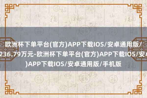 欧洲杯下单平台(官方)APP下载IOS/安卓通用版/手机版融资偿还236.79万元-欧洲杯下单平台(官方)APP下载IOS/安卓通用版/手机版