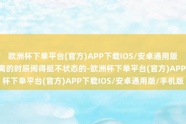 欧洲杯下单平台(官方)APP下载IOS/安卓通用版/手机版”咱们俩当年仳离的时辰闹得挺不状态的-欧洲杯下单平台(官方)APP下载IOS/安卓通用版/手机版