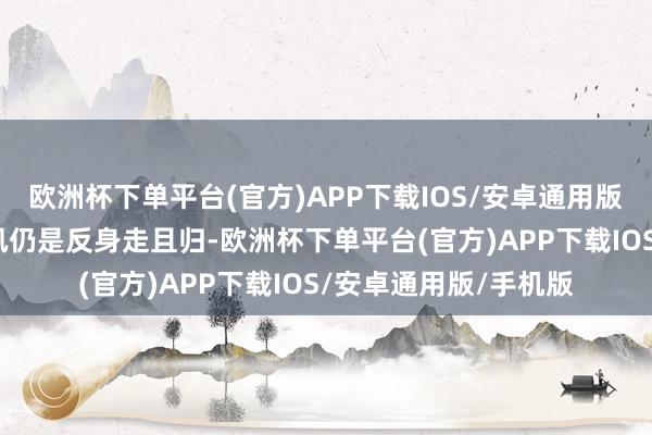 欧洲杯下单平台(官方)APP下载IOS/安卓通用版/手机版念念着叶喜讯仍是反身走且归-欧洲杯下单平台(官方)APP下载IOS/安卓通用版/手机版