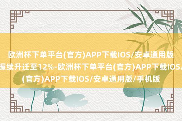 欧洲杯下单平台(官方)APP下载IOS/安卓通用版/手机版概括毛利率握续升迁至12%-欧洲杯下单平台(官方)APP下载IOS/安卓通用版/手机版