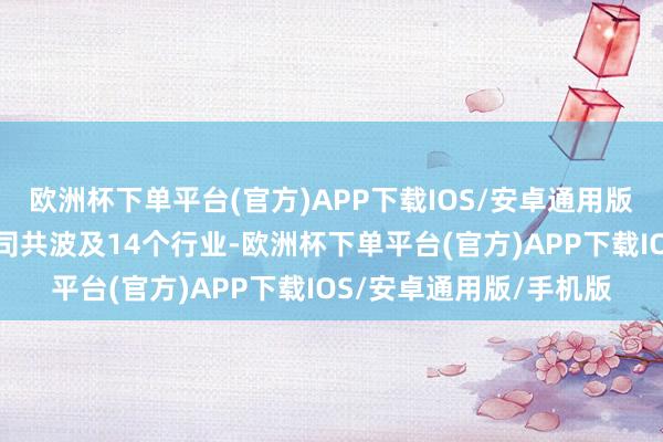 欧洲杯下单平台(官方)APP下载IOS/安卓通用版/手机版基金调研的公司共波及14个行业-欧洲杯下单平台(官方)APP下载IOS/安卓通用版/手机版