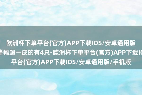 欧洲杯下单平台(官方)APP下载IOS/安卓通用版/手机版其中激动户数降幅超一成的有4只-欧洲杯下单平台(官方)APP下载IOS/安卓通用版/手机版